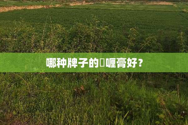 哪种牌子的啫喱膏好？