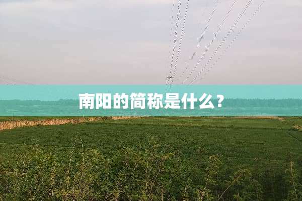 南阳的简称是什么？