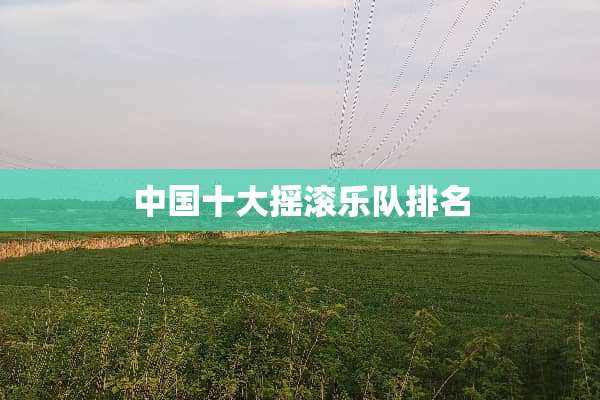中国十大摇滚乐队排名