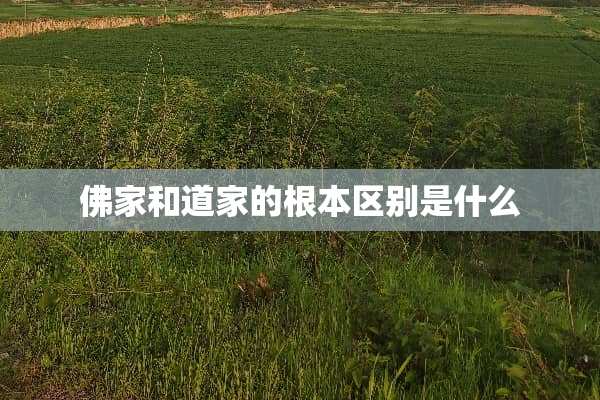 佛家和道家的根本区别是什么