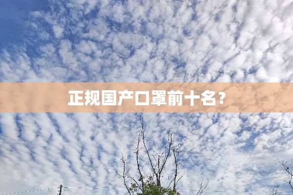 正规国产口罩前十名？