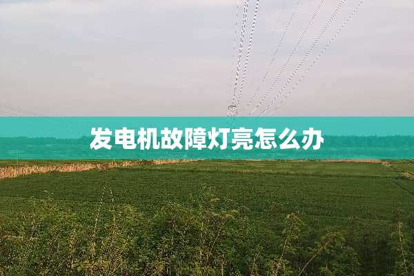 发电机故障灯亮怎么办