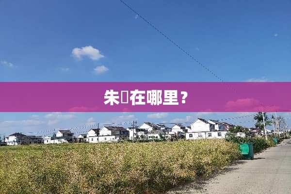 朱鹮在哪里？