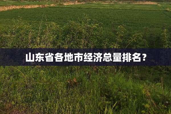 山东省各地市经济总量排名？