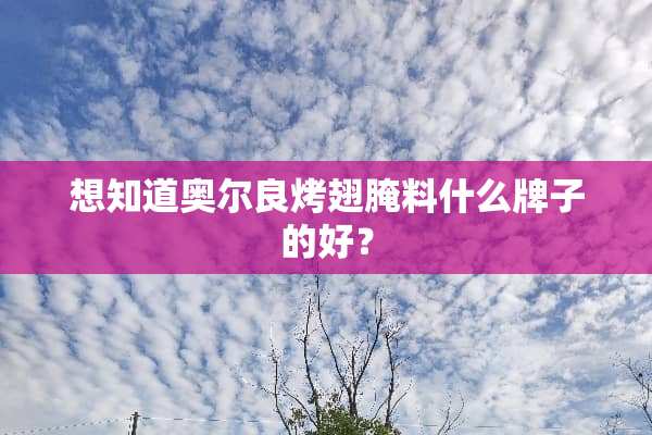 想知道奥尔良烤翅腌料什么牌子的好？