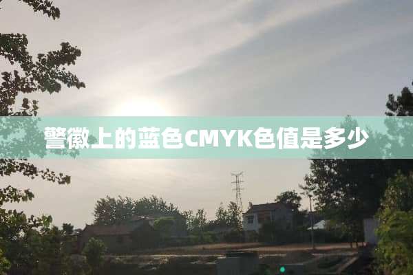 **上的蓝色CMYK色值是多少