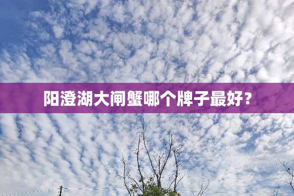 阳澄湖大闸蟹哪个牌子最好？