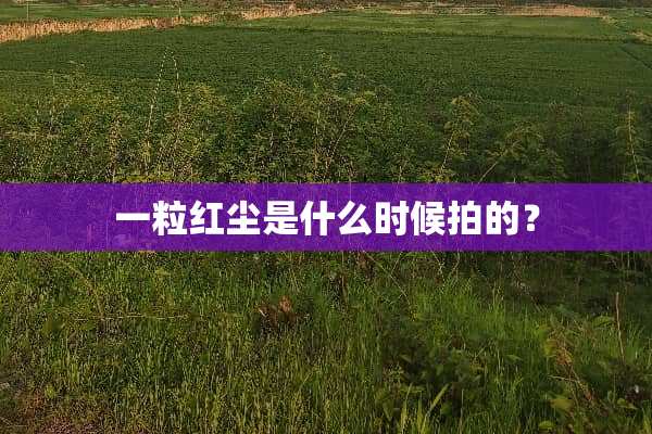 一粒红尘是什么时候拍的？