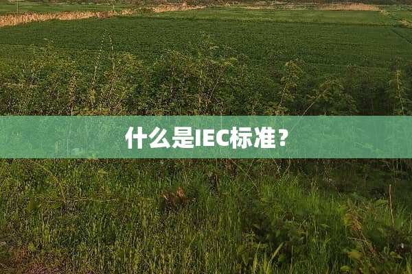 什么是IEC标准？
