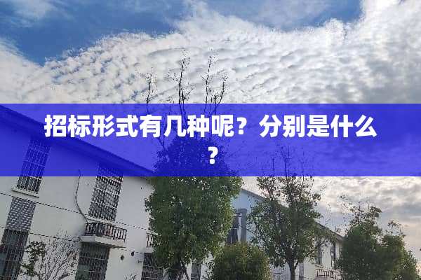 招标形式有几种呢？分别是什么？