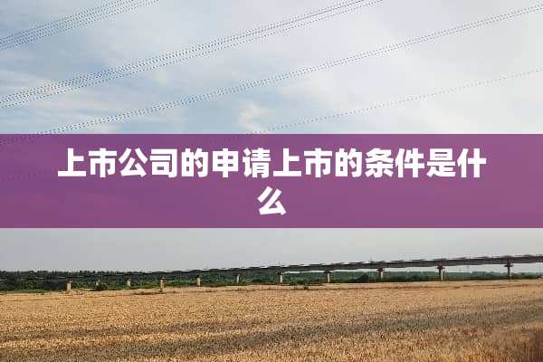 上市公司的申请上市的条件是什么