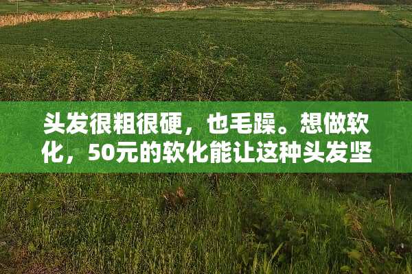 头发很粗很硬，也毛躁。想做软化，50元的软化能让这种头发坚持多久？