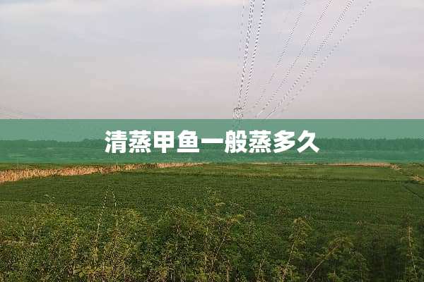 清蒸甲鱼一般蒸多久