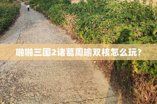 啪啪三国2诸葛周瑜双核怎么玩？