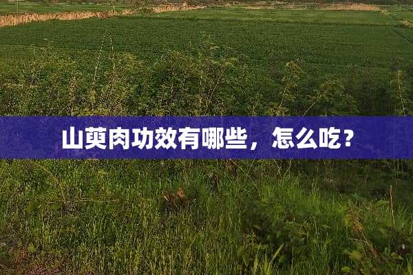 山萸肉功效有哪些，怎么吃？