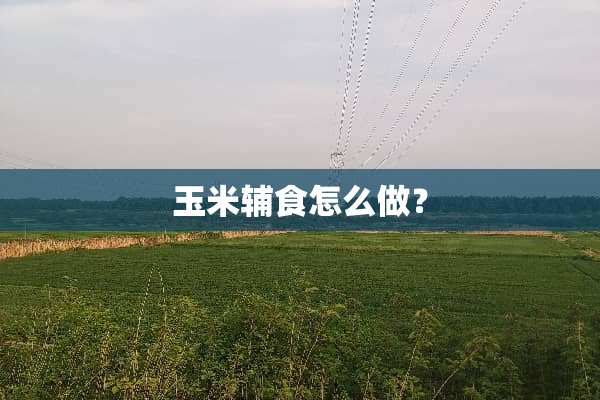 玉米辅食怎么做？