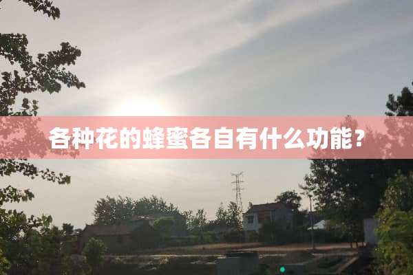 各种花的蜂蜜各自有什么功能？