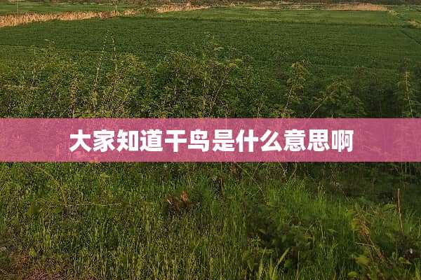 大家知道干鸟是什么意思啊