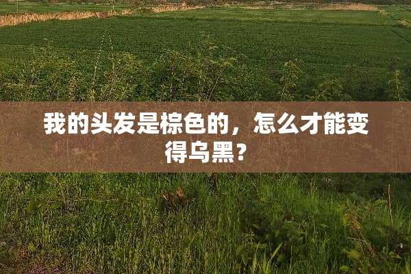 我的头发是棕色的，怎么才能变得乌黑？
