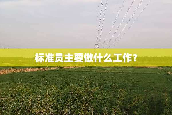 标准员主要做什么工作？