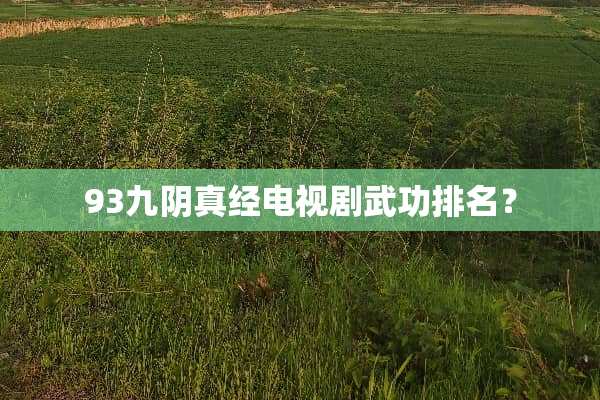 93九*真经电视剧武功排名？
