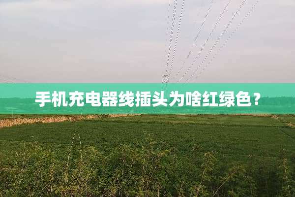 手机充电器线插头为啥红绿色？