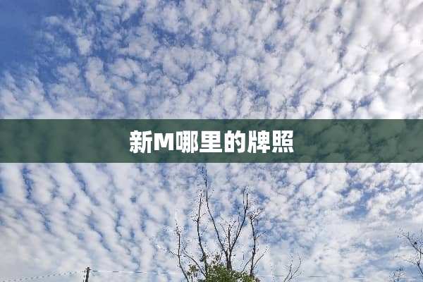 新M哪里的牌照