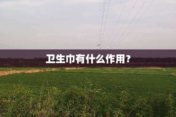 卫生巾有什么作用？