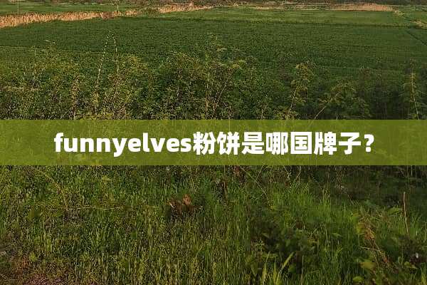 funnyelves粉饼是哪国牌子？