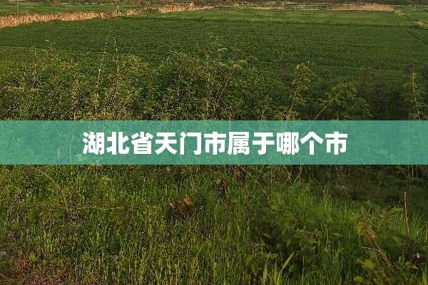 湖北省天门市属于哪个市