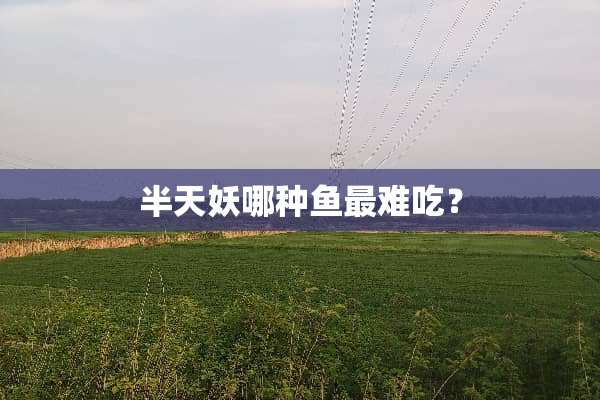 半天妖哪种鱼最难吃？