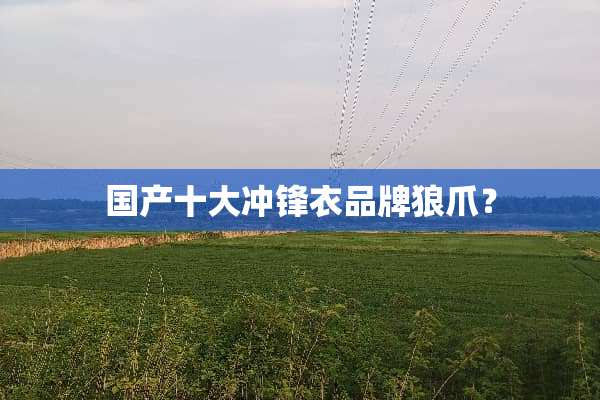 国产十大冲锋衣品牌狼爪？