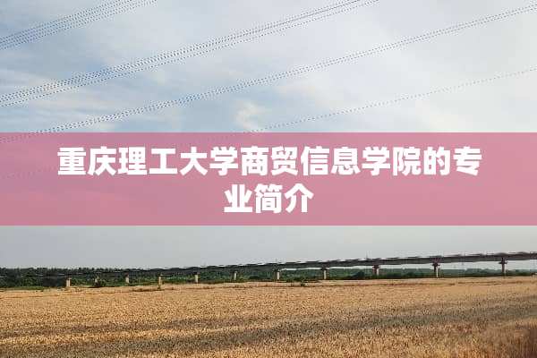重庆理工大学商贸信息学院的专业简介