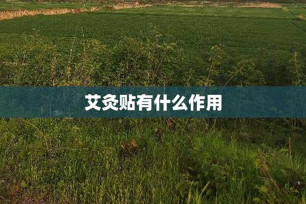 艾灸贴有什么作用