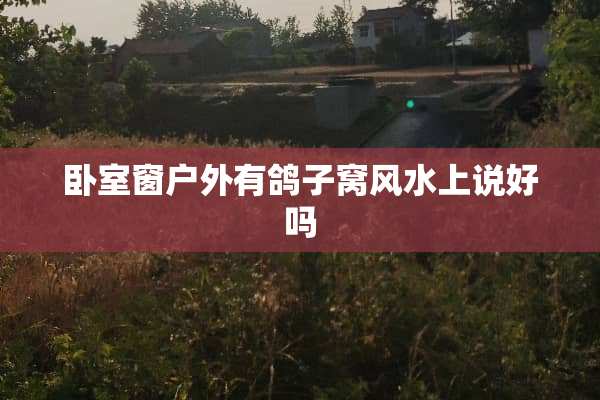 卧室窗户外有鸽子窝风水上说好吗