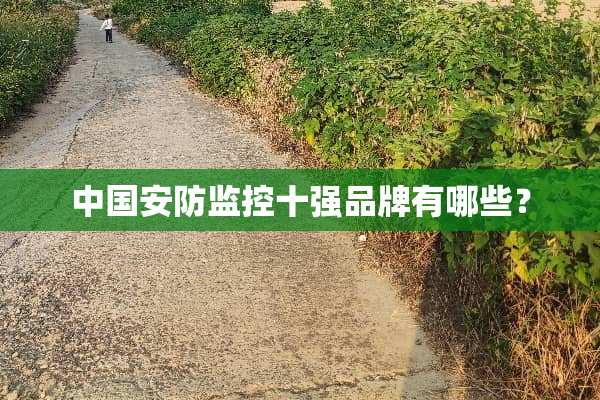 中国安防监控十强品牌有哪些？