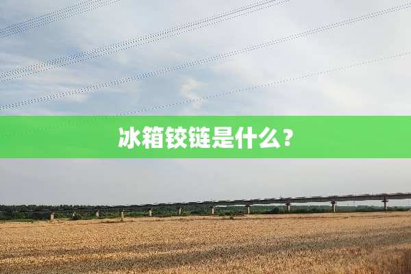 冰箱铰链是什么？