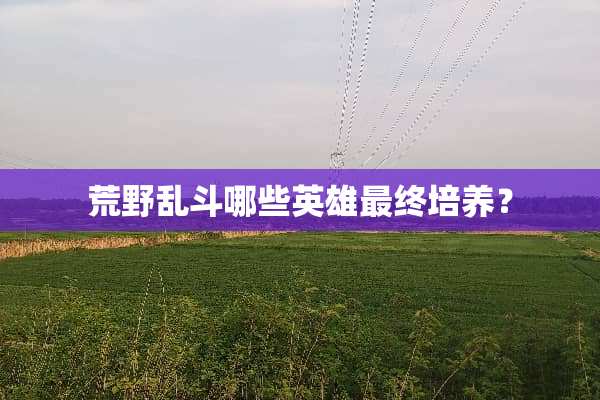 荒野乱斗哪些英雄最终培养？