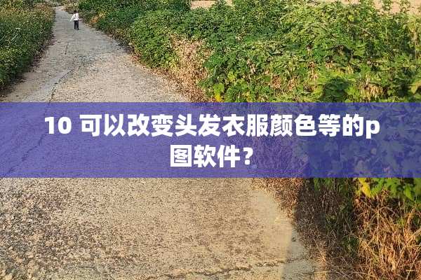 10 可以改变头发衣服颜色等的p图软件？