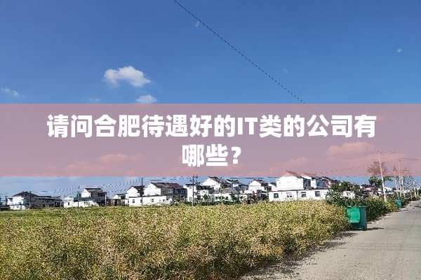 请问合肥待遇好的IT类的公司有哪些？