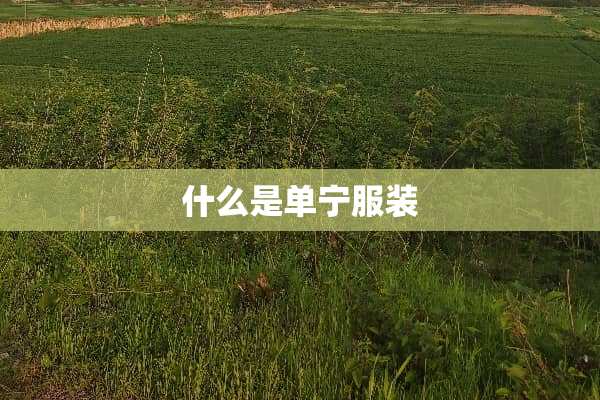 什么是单宁服装