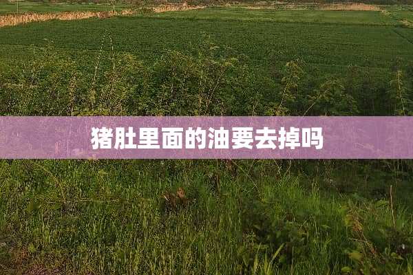 猪肚里面的油要去掉吗