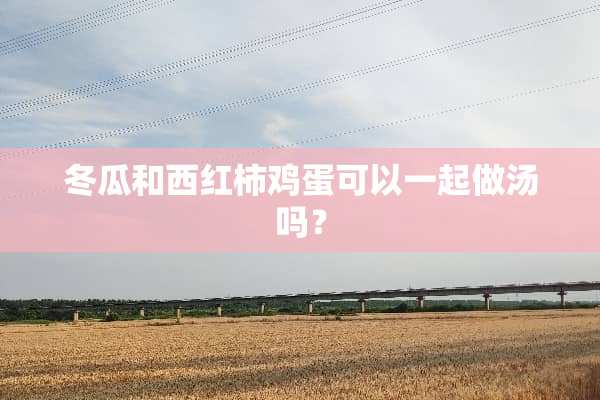 冬瓜和西红柿鸡蛋可以一起做汤吗？