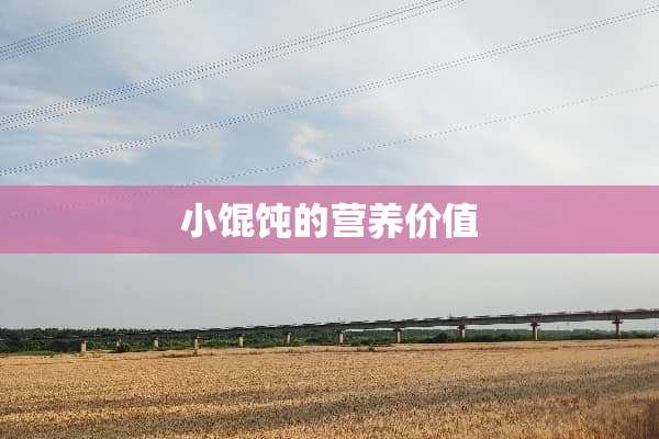 小馄饨的营养价值