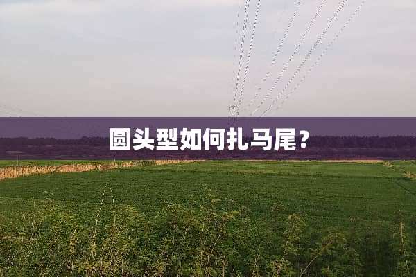 圆头型如何扎马尾？