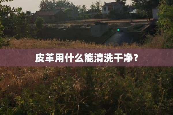 皮革用什么能清洗干净？