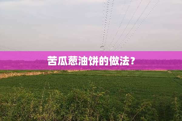 苦瓜葱油饼的做法？