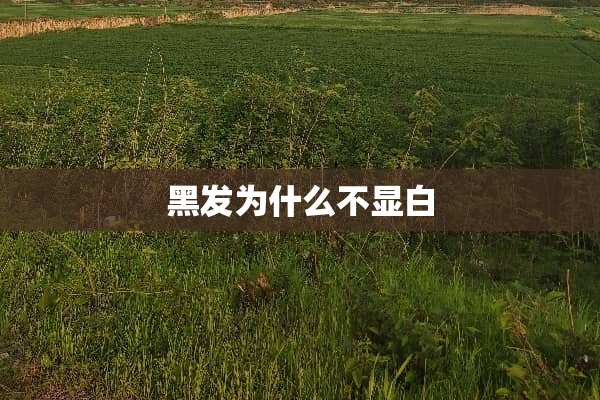 黑发为什么不显白