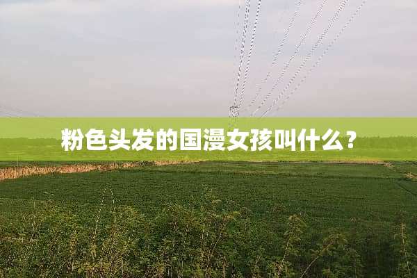 粉色头发的国漫女孩叫什么？