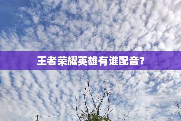王者荣耀英雄有谁配音？